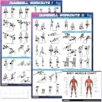 goremote Dumbbell Workout Poster Set (B0DKT21Q39)